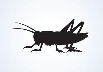 Cricket Insect Vector at Vectorified.com | Collection of Cricket Insect Vector free for personal use