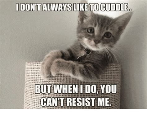 25 Cutest Cuddle Memes - SayingImages.com