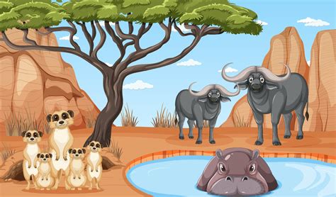 Dryland forest landscape with animals 7507697 Vector Art at Vecteezy