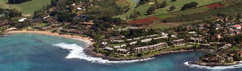 Napili Point Resort Official Website: Oceanfront Condos in Maui Hawaii