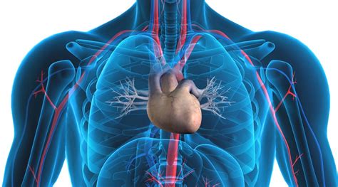 The Link Between Snoring And Heart Disease