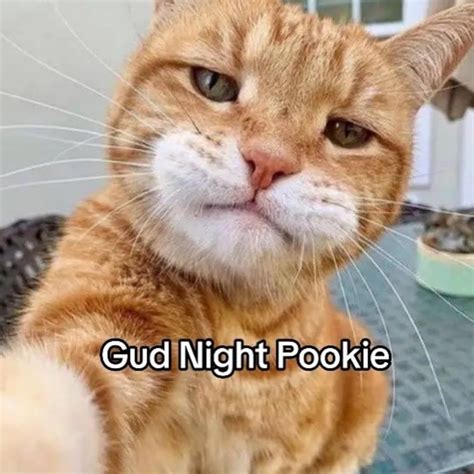 gud night pookie | Pookie | Know Your Meme