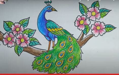 How to Draw a Peacock Step-by-Step with Pictures