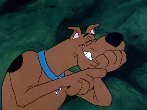 Scooby-Doo Laughing he's is funny always goofing | Scooby doo images ...