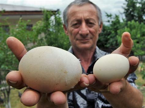 Murman Modebadze of Georgia holds a giant chicken egg next to an ...