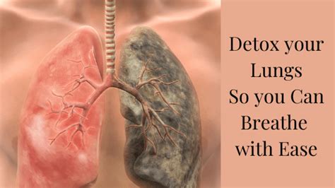 Detox Your Lungs To Restore & Repair: 3 Major Benefits & Reasons For ...