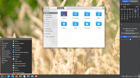 Solus Themes & Icons (2019) | Average Linux User