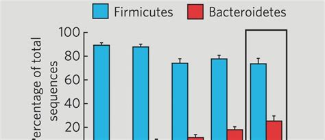 Tipping Firmicutes to Bacteroidetes | NutritionFacts.org