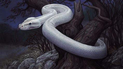 Scary Snake Wallpapers - Wallpaper Cave