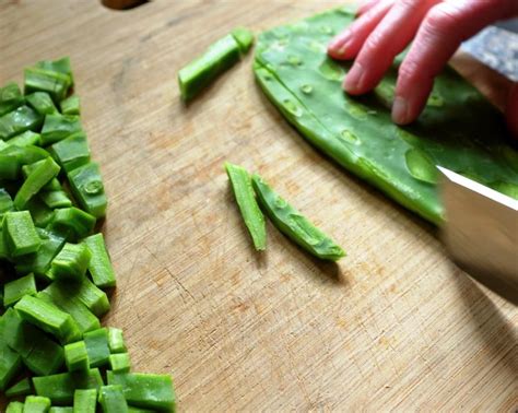 Nopal Cactus Leaf Recipes