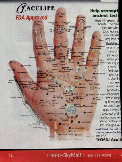 Hand Acupressure Points Chart