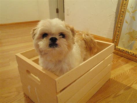 Hammers and High Heels: DIY Project: Vintage Inspired Crates!