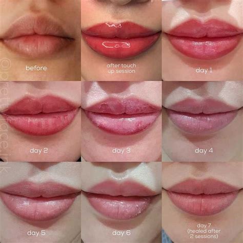 Lip Blush Healing Process - Day by Day Timeline and Stages in 2023 | Lip permanent makeup, Lip ...