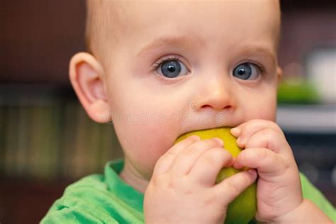 Baby First Food Concept. Babys Face Close-up. Stock Photo - Image of caucasian, feeding: 209667570