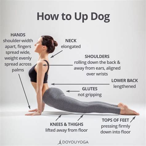 How to Up Dog #JustPlainAndSimpleYoga | Yoga for beginners, Yoga help ...