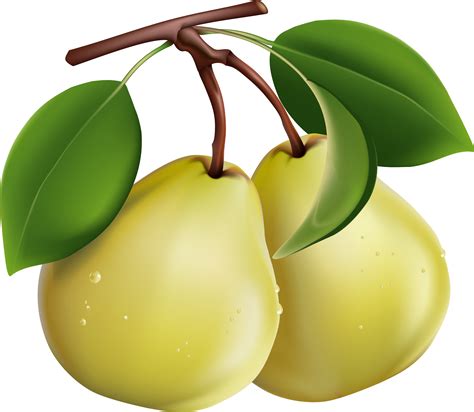 Pear | PNG All