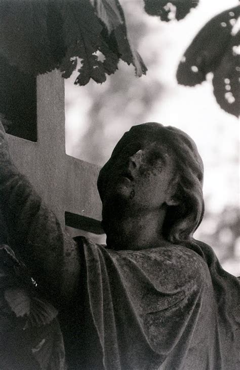 European Cemeteries: Something quite old...