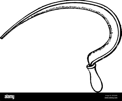 Curved blade with a handle Stock Vector Images - Alamy