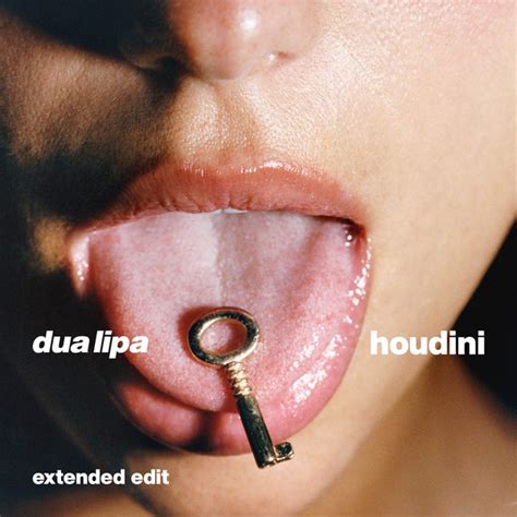 Dua Lipa – Houdini (Extended Edit) – File (256 kbps, AAC, Single), 2023 ...