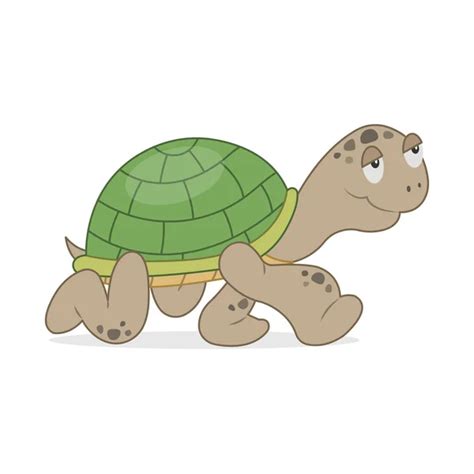 ᐈ Una tortuga para caminar vectores de stock, ilustraciones caminar tortuga | descargar en ...