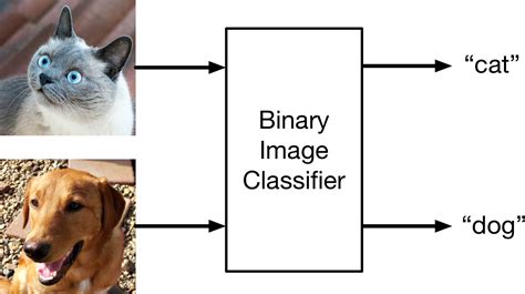 Machine Learning by Tutorials, Chapter 2: Getting Started with Image ...