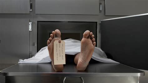 South African woman found alive in morgue fridge