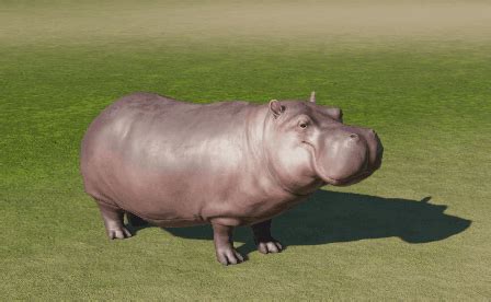 Image - Hippo Yawning.gif | Planet Coaster Wiki | FANDOM powered by Wikia