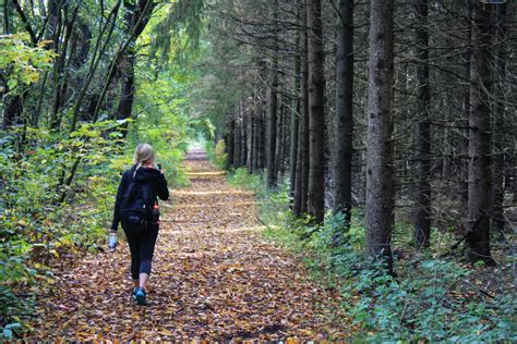 Free Images : tree, path, wilderness, walking, girl, woman, trail, fall, adventure, hiker, trek ...