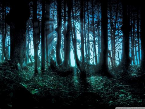 Mystery Forest Wallpapers - Top Free Mystery Forest Backgrounds ...