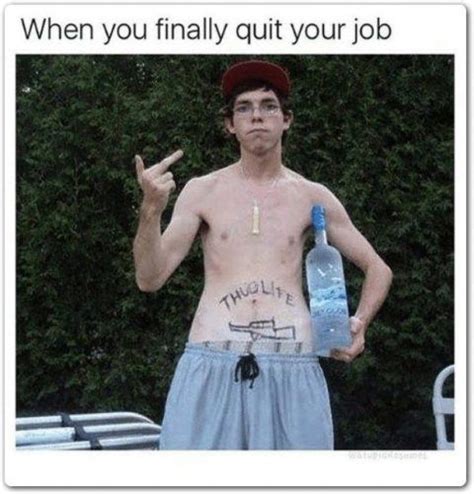 15 Best funny quit job meme gallery 2021 in 2020 | Job humor, Quitting ...