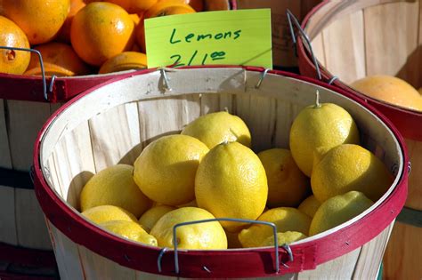 Lemons Free Stock Photo - Public Domain Pictures