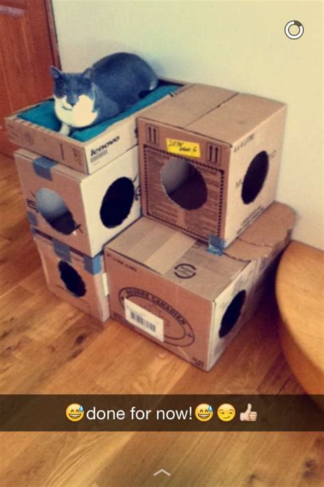 DIY Cat Stuff... Diy cat house made of cardboard boxes!!! It isn't pretty but it works. Cool Cat ...