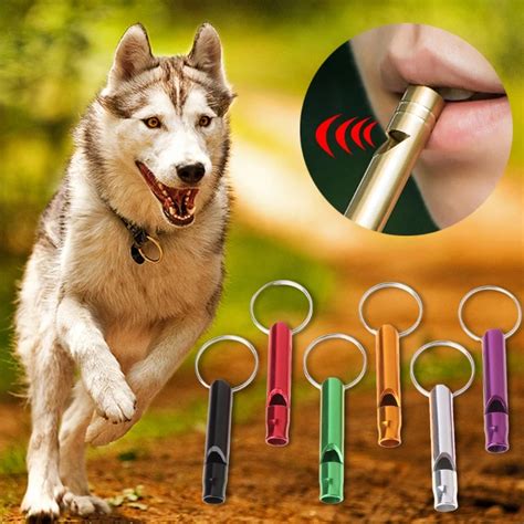 Pet Training Whistle Dogs Puppy Sound Portable Flute Aluminum Alloy Random Color-in Dog Whistles ...