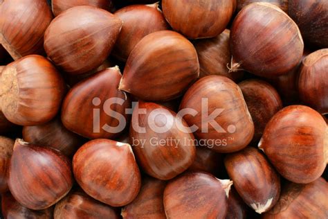 Sweet Chestnuts Background Stock Photo | Royalty-Free | FreeImages