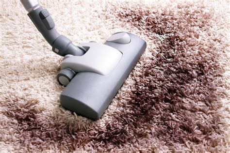 7 Simple Steps to Cleaning a Rug