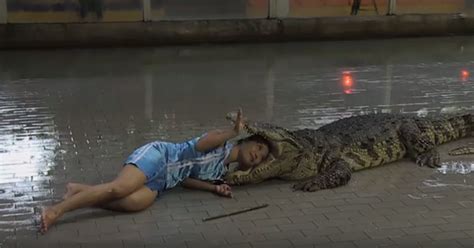 Girl Puts Her Head Inside Crocodiles Mouth! « Cutegirl