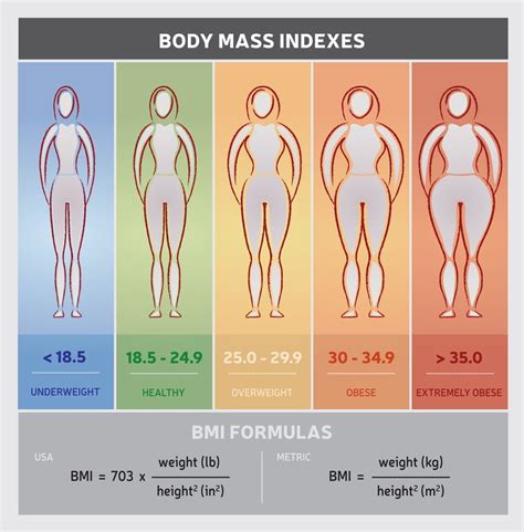 Body Mass Index (BMI) Accurate & Scientific Calculation Tools 7 | Healthy body, Healthy body ...