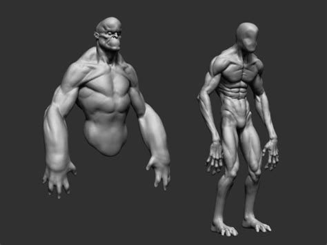 Related image | 3d model character, Anatomy, Model