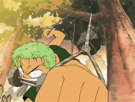 Zoro GIF – Zoro – discover and share GIFs