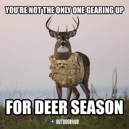 The 20 Best Deer Hunting Memes (So Far) - SayingImages.com