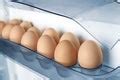 Fresh eggs in the fridge - Free Stock Image