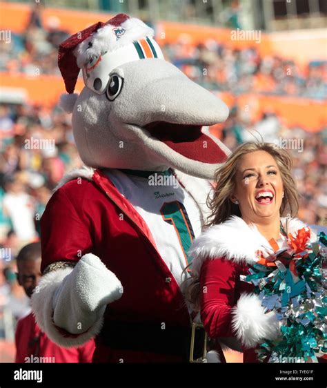 Miami dolphins cheerleaders and miami dolphins mascot t d hi-res stock photography and images ...