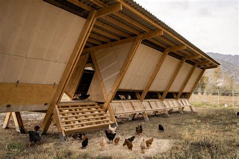 House of Chickens by SO Architecture | Poultry farm buildings, Timber architecture, Poultry house