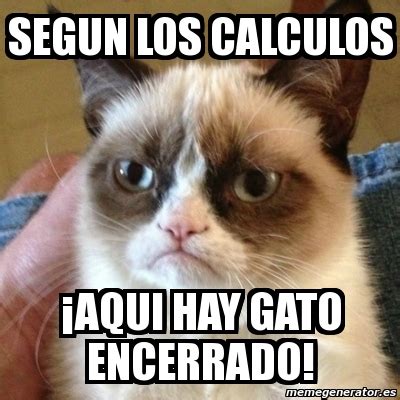 Meme Grumpy Cat - Segun los calculos Â¡Aqui hay gato encerrado! - 3336215