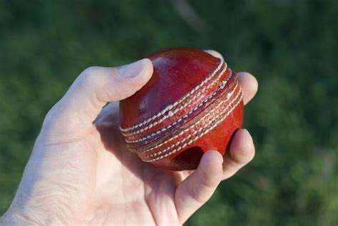 Free Stock Photo 4836 bowling a cricket game | freeimageslive