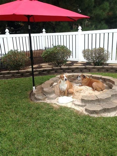 19 Great Backyard Ideas to Delight Your Dog - meowlogy | Dog backyard, Dog friendly backyard ...