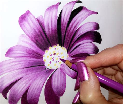 How to Draw Flowers by Jasmina Susak | Color pencil drawing, Flower ...