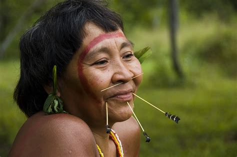 indio brasileiro - Pesquisa Google The Yanomami, Amazon Tribe, Xingu, Survival, Arte Tribal, Art ...