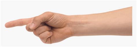 Png Free Images Pictures - Arm With Pointing Finger, Transparent Png - kindpng