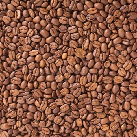 Coffee beans texture stock photo. Image of abstract, grain - 7302930